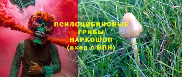 герыч Алексин