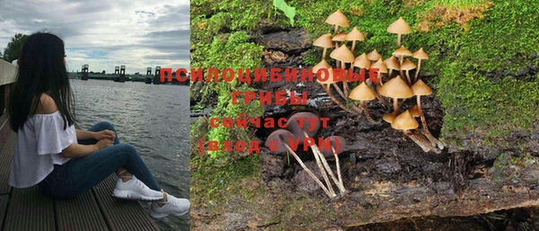 мяу мяу мука Алексеевка